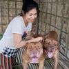 shwe.phyo383