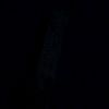 wht_acaa