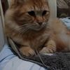 boutheinahajri10gmail.c1