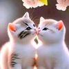 ebs.love1