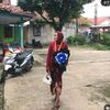 cacaaauliaa___