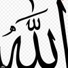 rashidashabbir41