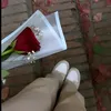 bella_carina