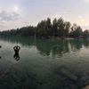 andit_d_robet
