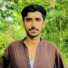 sherbahadur660