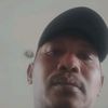 ijal8288