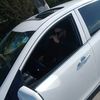 zanda_19