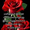 jasijasi233