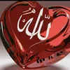 22zahra24