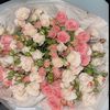 samira_12434