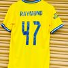 raymondray5
