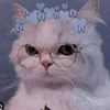 raisha_508