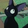 aurangemoon