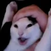 hecarim723