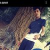 walid dje