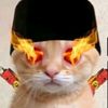 razinrafif8