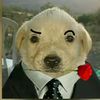 brian_torres04