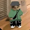 perromalparido65