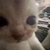 fernan_0423