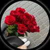 dunyafarhad4
