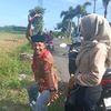 susiyono.diyon