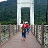 rcelalucintamatiy