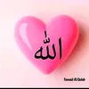 kareemhmood2