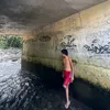 daniel.elesterio
