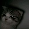 soule_so2