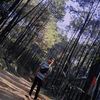 terbanganm