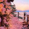 amna.cook
