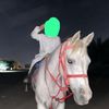 talal.alm