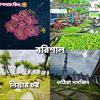 abir8799