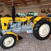 suchy531