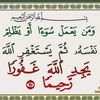 user7406320611819