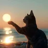 cat.spndk