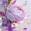 user84018362775540