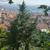 galipyldrm6