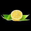 a_iteral_lemon