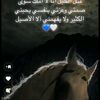 user3742437244
