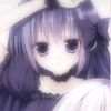 zenis_rando