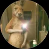 jorgg3_3
