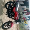 yucleiber_br