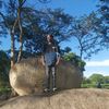 doctor_zw
