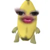 seashellsseal