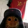kyozzy_