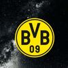 bvbfan1002