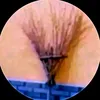 werme1_