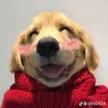 maecasas_8