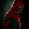 user8761678043240